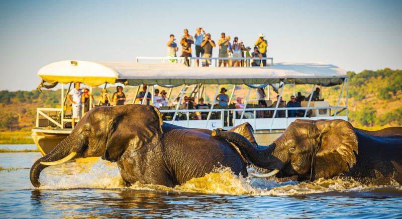 Africa Leads Global Tourism Growth, Crowned by Zimbabwe’s Top Ranking
