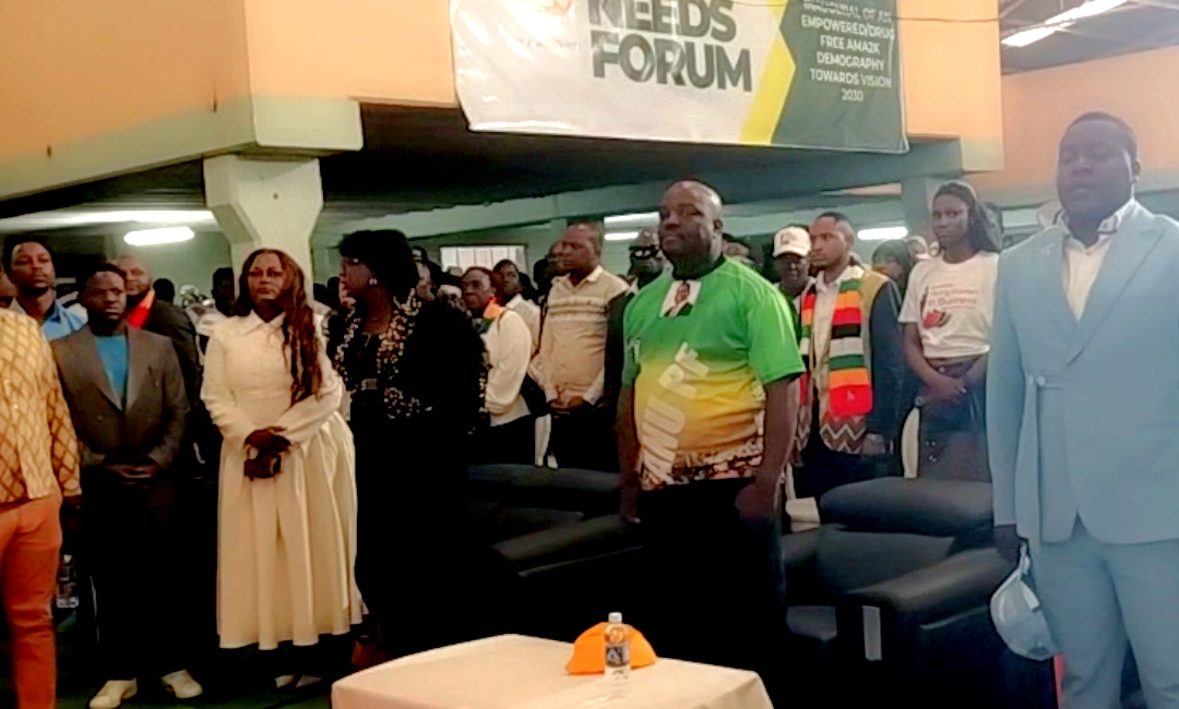 The Voyage of Revitalization: Cde Dambuza and the New ZANU-PF Frontier