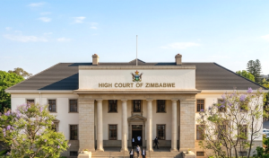 The Cost of Greed at the Expense of a Community; Emerging realities affecting Botha Gold Mine