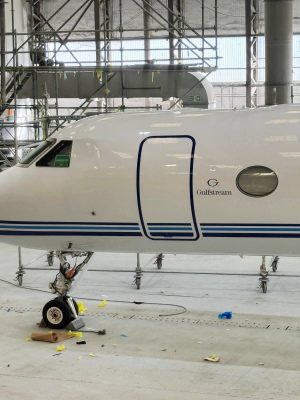 Johanne Masowe eChishanu Braces for Sir Wicknell’s Massive Welcome as Billionaire Lands in Brand-New Gulfstream G700 Jet