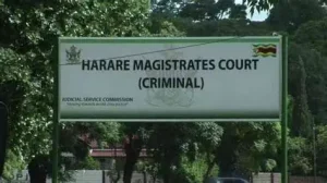 Investigative Journalist Simba Sithole Released on Bail Amid Outcry Over Borrowdale Wetlands Expose